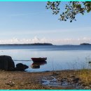 대한이화학 이미지