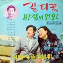 노송자