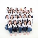 니서푸드