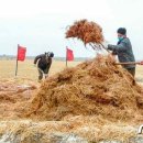 재령농장 이미지