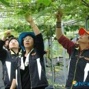 용산3리 이미지