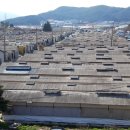 희망농원 이미지