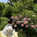 종로-신영-종로-영-201 | W.10 창경궁 한복스냅 찍었어요. 봄유스냅/봄은한복/뷰티팰리스/선비넉장 내돈내산 후기