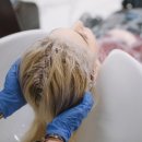디자인라우 네이버블로그