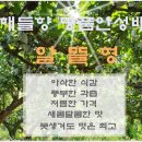 해들향 네이버블로그
