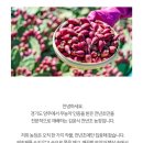 김윤식농장 이미지