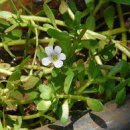 에이치피알 이미지