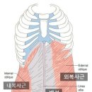 소담 이미지