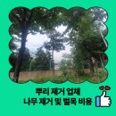 연수주공1차 아파트 관리사무소 | 뿌리 제거 업체 나무 제거 및 벌목 비용