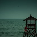 골든타임A | 베트남 나트랑 리조트 익사 사고의 전말 골든타임은 왜 무시되었나?