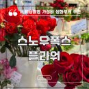 웨딩촬영 셀프 부케보다 가성비 강남 스노우폭스 플라워 (헤어변형 생화) 내 돈 내산