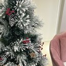 강남 선릉역 [속눈썹 복구펌] 대성공 후기 &#39;리현드림&#39;