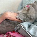 던킨 대구대천점 이미지