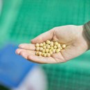 대한가스 이미지