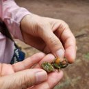 나무와 돌 이미지