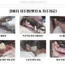 금호동물병원 이미지