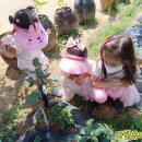 만안유치원 이미지