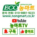 액비골(1) | 고구마 비닐멀칭 재배 시 주의사항