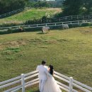 미요스튜디오 | 제주 웨딩 스냅ㅣ제주 야외 스냅ㅣ올리버필름ㅣ후기☘️