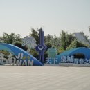 G5485 Daum카페