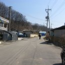 대전1리 마을회관 Daum카페