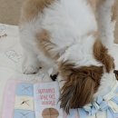 취향저견 이미지