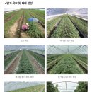 과일24 이미지