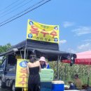 오도1리 | 포항 바다 수영 하기 좋은 오도1리해수욕장 평상 후기