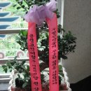 명진약품 이미지