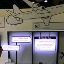 펫이동서비스 이미지