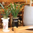 최가네 숯불구이 이미지