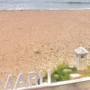 일일일반점 이미지