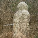 윤인함 묘 이미지
