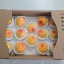 영천농장 | 영천복숭아 복숭아마을 3년째 산지직송 주문하는 여름 과일 아이 간식