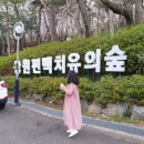 북엔카페사계절