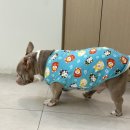 리미헤어포인트 | 수유역 미용실 남자 쉐도우펌 다운펌 후기, 리미살롱 수유역본점