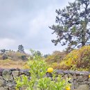 리버풀앤스파 이미지