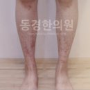 동경반점 네이버블로그