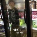 가볼가 이미지