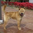 무지개훈련소 이미지