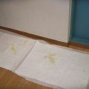 클린독 펜션 네이버블로그