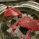 고기바보 이미지