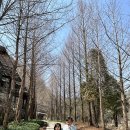 피노키오 놀이터 | 아이와 강원도 여행 원주 피노키오숲 감성카라반 이용 후기