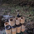 꿀꿀연탄구이 이미지