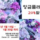 이렇게 행복할 슈가