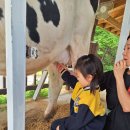 우유 아이스크림 만들기 이미지