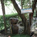 경주 외동 카페 대형카페 썬트리 휴 아이랑 가기 좋은 카페 힐링의 숲체험카페 후기