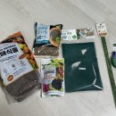 신세계원예 | 🪴 방울토마토 키우기, 분갈이하는 법 🐣 꿀팁 대공개! 저면관수 화분, 다이소 재배키트 활용 후기