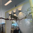 삼막 | [안양 카페] 파충류 체험 가능한 삼막창고카페 후기