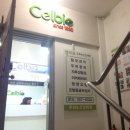 셀비오두피&건강센터강남